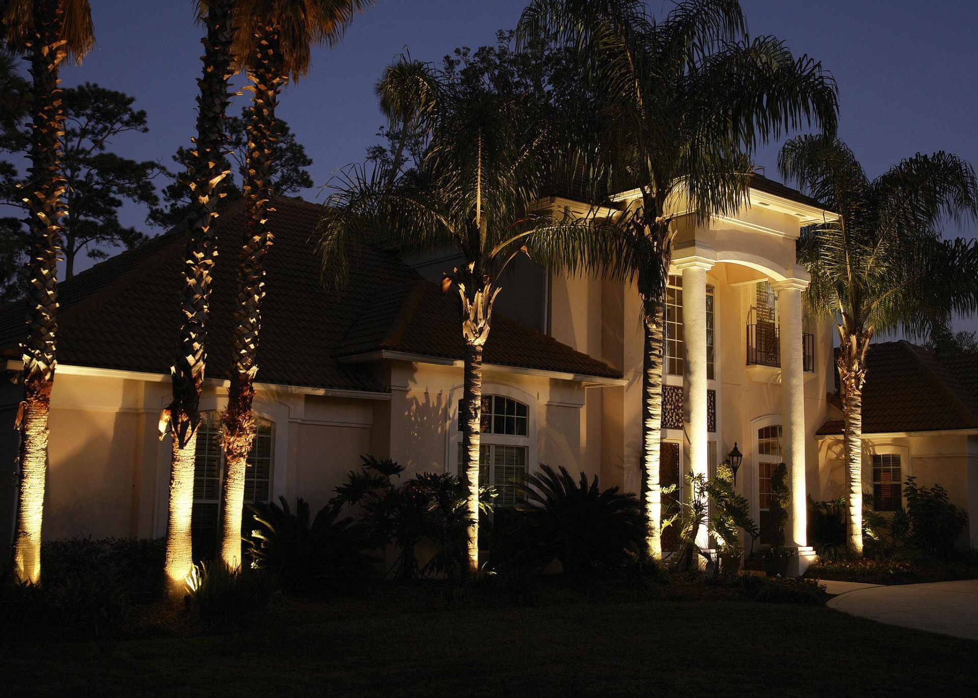 Mediterranean Florida home with uplit palms and warm facade lighting