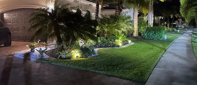 Driveway landscape bed with uplit palms, shrubs, and path lighting