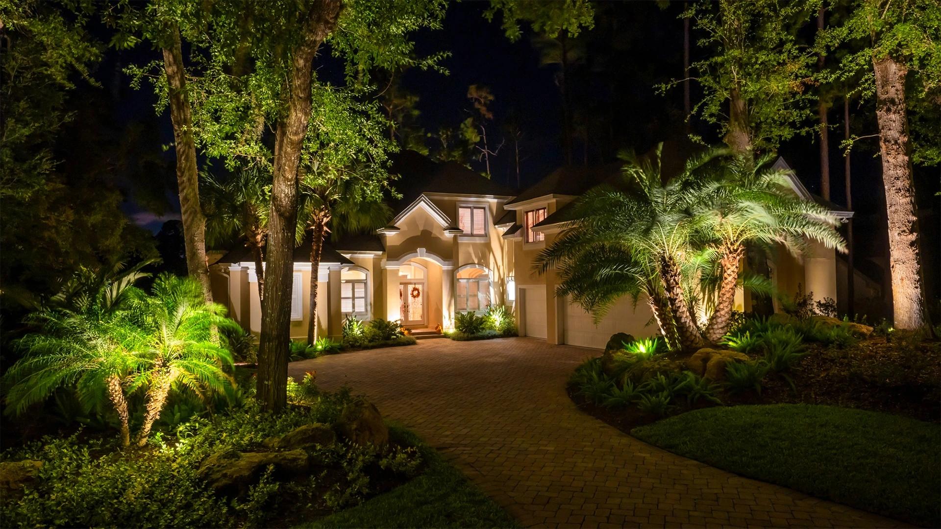 Estate driveway framed by uplit palms and oaks at night